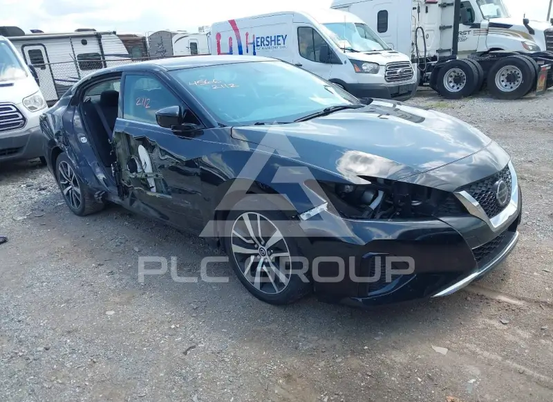 2019 Nissan MAXIMA photo