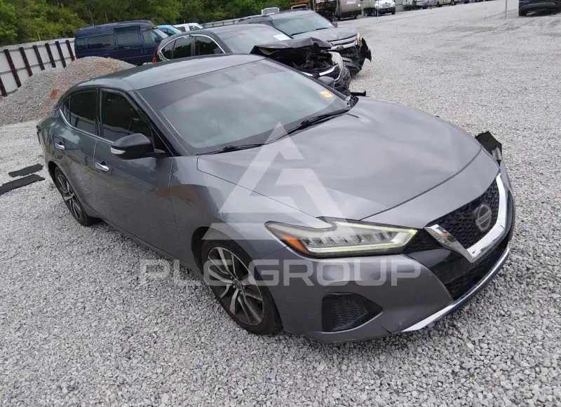 2019 Nissan MAXIMA фото