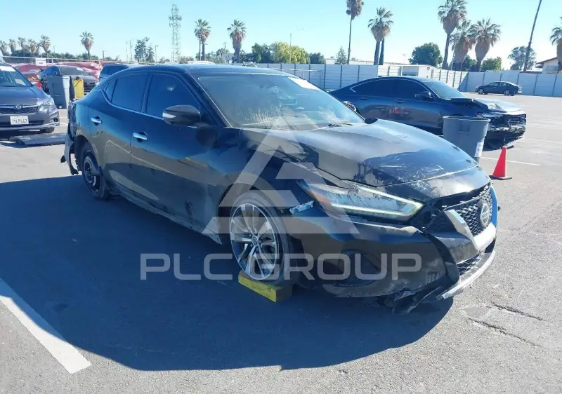 2019 Nissan MAXIMA photo