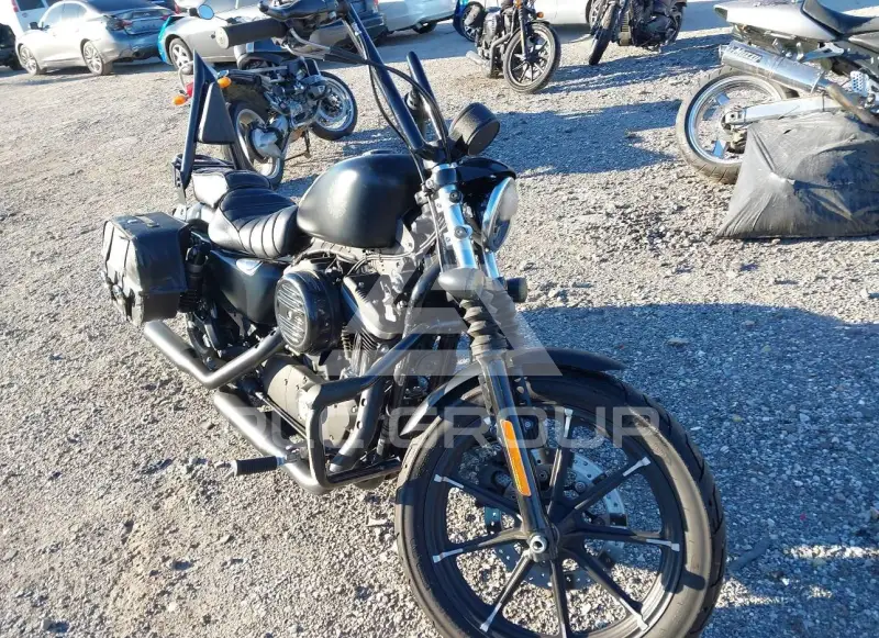 2019 Harley-Davidson XL883 photo