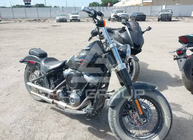 2019 Harley-Davidson FLSL фото