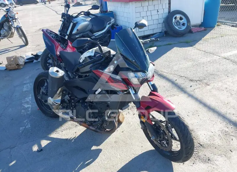 2019 Kawasaki ER400 фото
