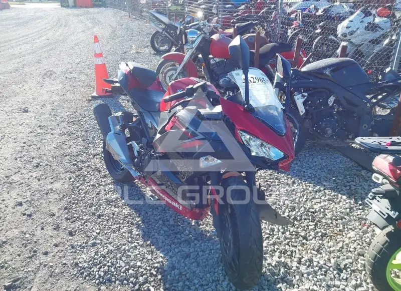 2019 Kawasaki EX400 photo