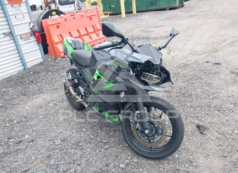 2019 Kawasaki EX400 photo