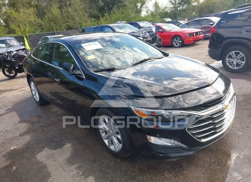 2019 Chevrolet Malibu photo