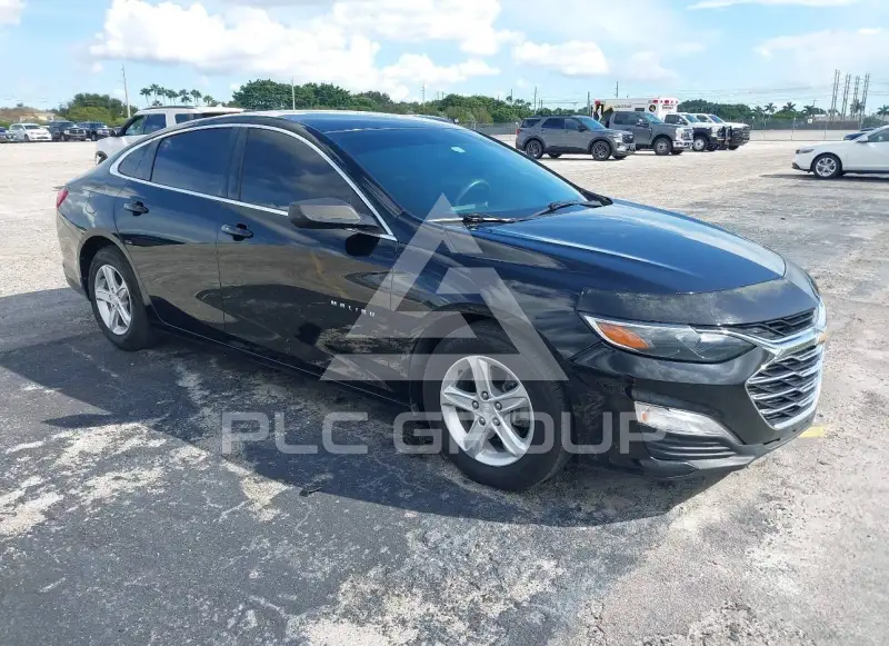 2019 Chevrolet Malibu photo
