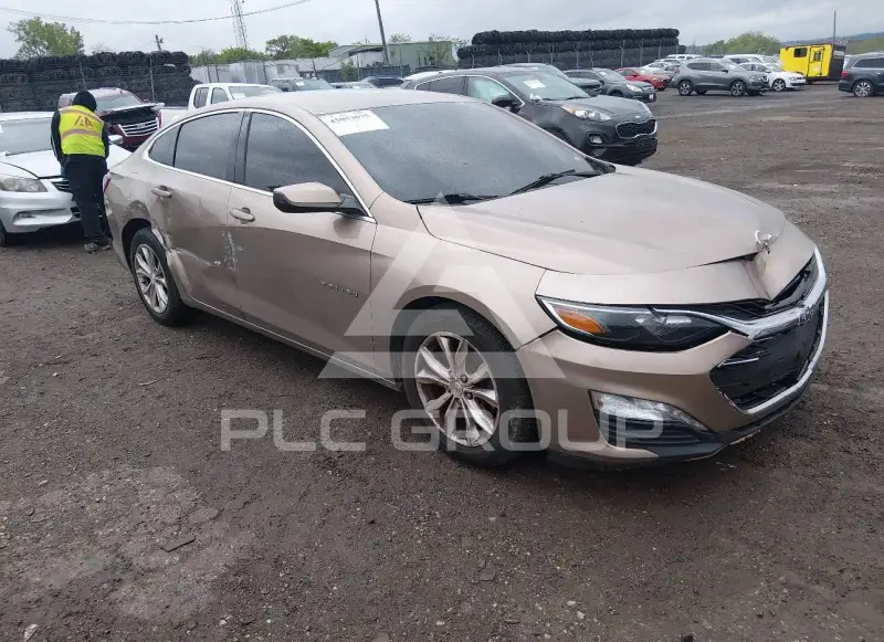 2019 Chevrolet Malibu photo