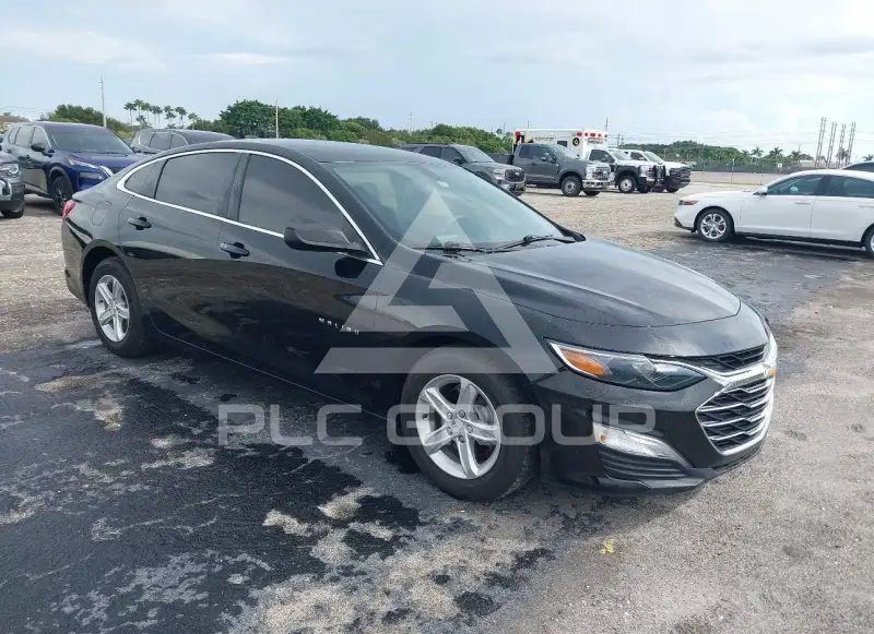 2019 Chevrolet Malibu photo
