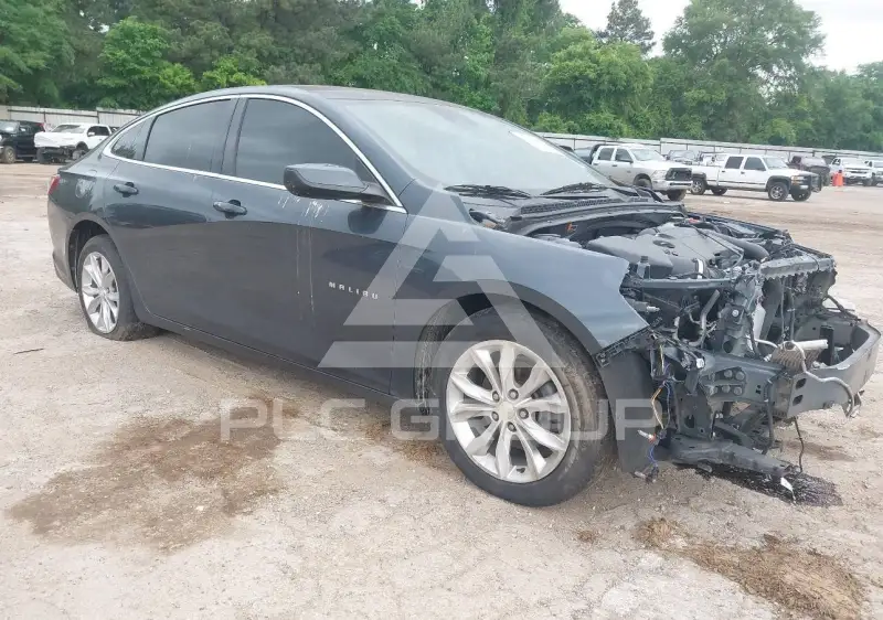 2019 Chevrolet Malibu photo