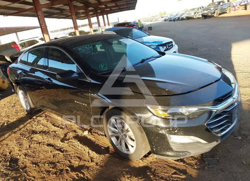 2019 Chevrolet Malibu фото