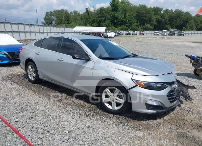 2019 Chevrolet Malibu photo