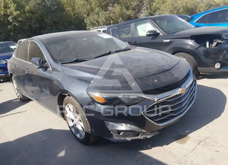 2019 Chevrolet Malibu фото