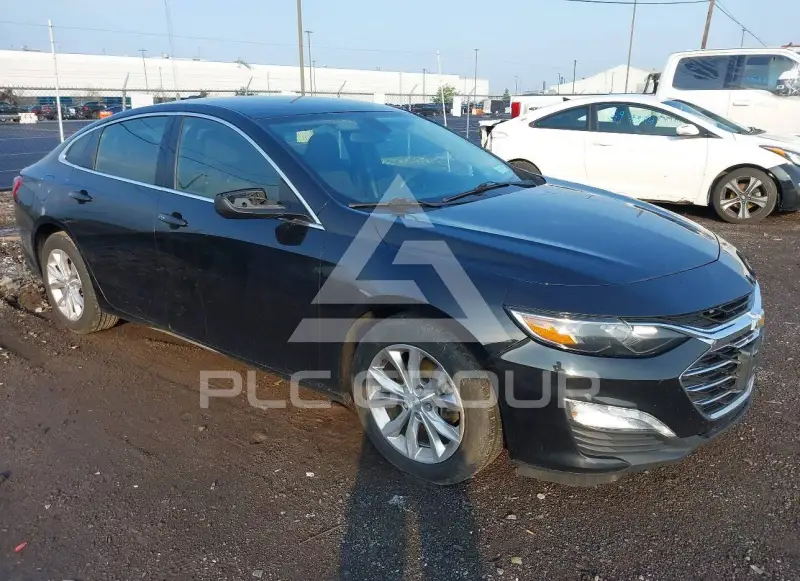 2019 Chevrolet Malibu photo