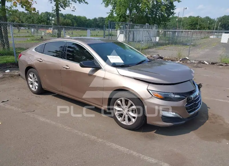 2019 Chevrolet Malibu photo