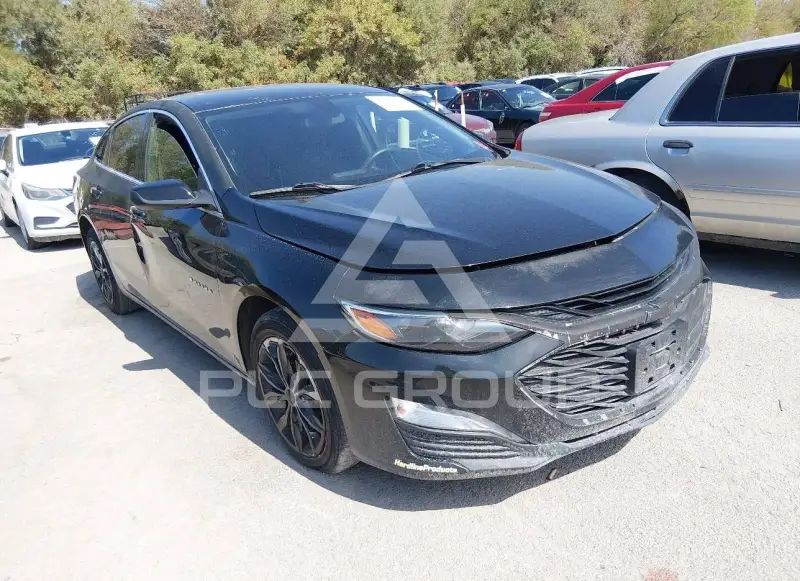 2019 Chevrolet Malibu фото