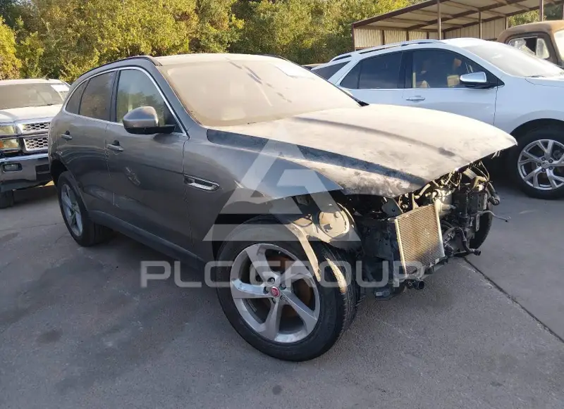2019 Jaguar F-PACE фото