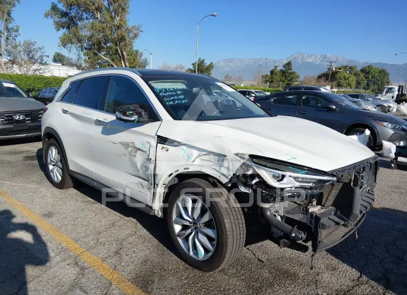 2019 Infinity QX50 photo