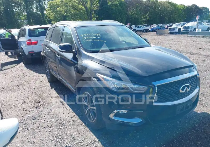 2019 Infinity QX60 фото