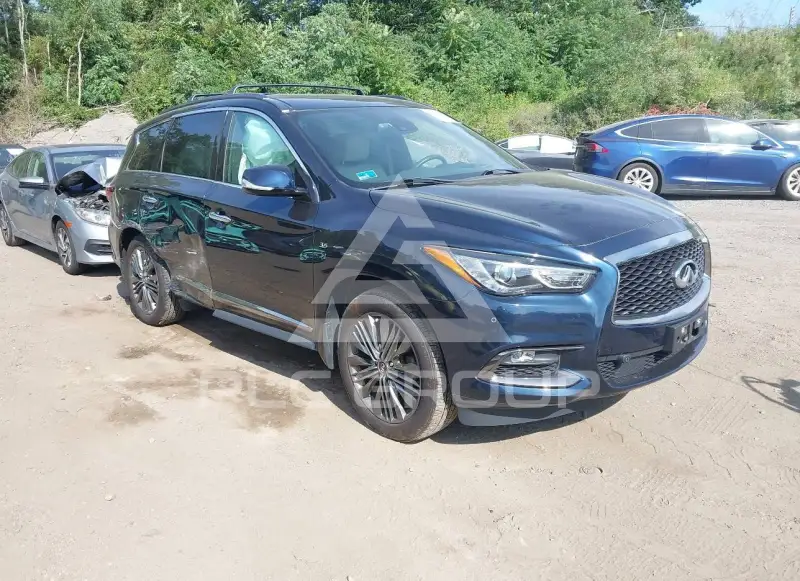 2019 Infinity QX60 photo