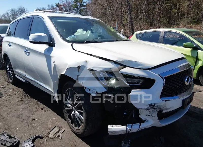 2019 Infinity QX60 photo