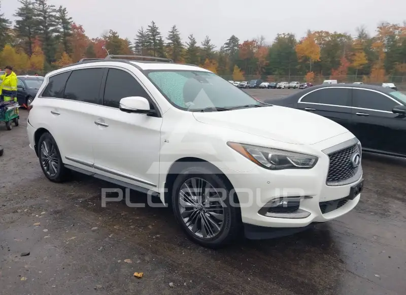 2019 Infinity QX60 photo