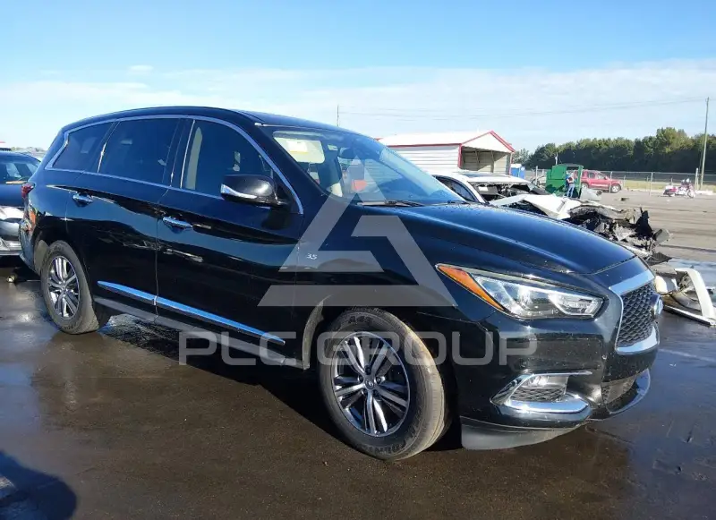2019 Infinity QX60 photo