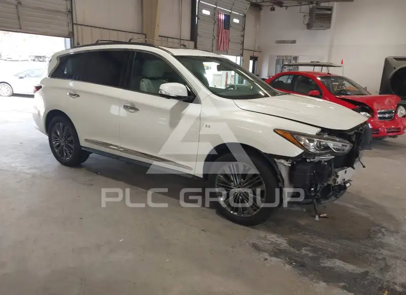 2019 Infinity QX60 photo