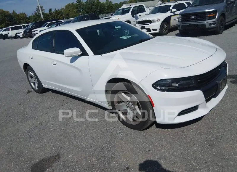 2019 Dodge CHARGER фото