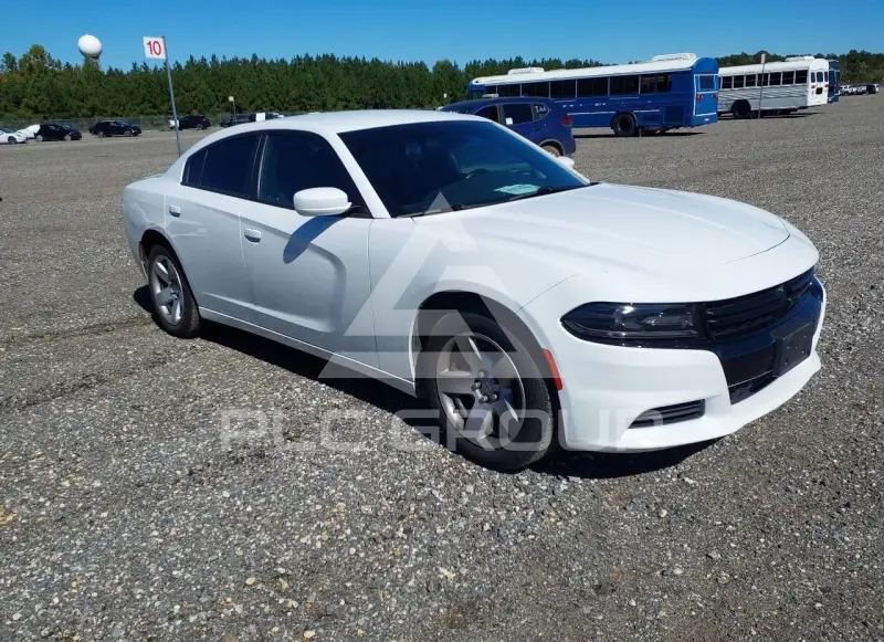 2019 Dodge CHARGER фото