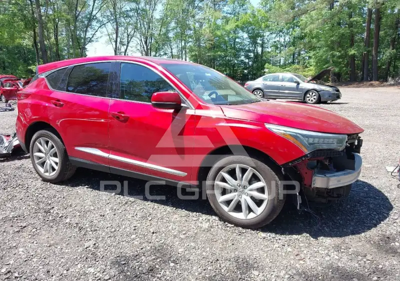 2019 Acura RDX photo