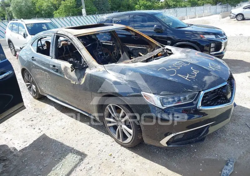 2019 Acura TLX фото