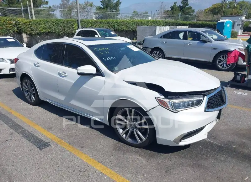 2019 Acura TLX фото