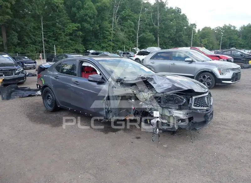 2019 Acura TLX photo