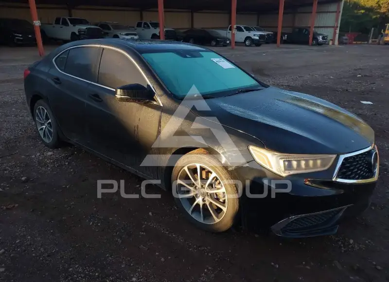2019 Acura TLX photo
