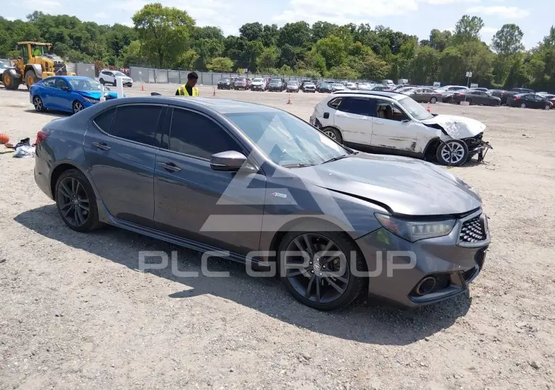 2019 Acura TLX photo
