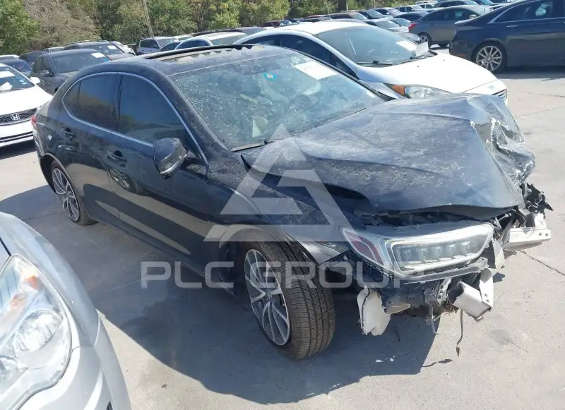 2019 Acura TLX photo