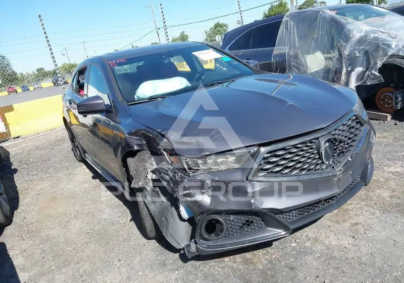 2019 Acura TLX photo