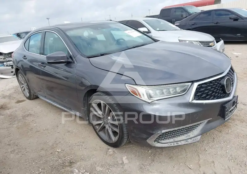 2019 Acura TLX photo