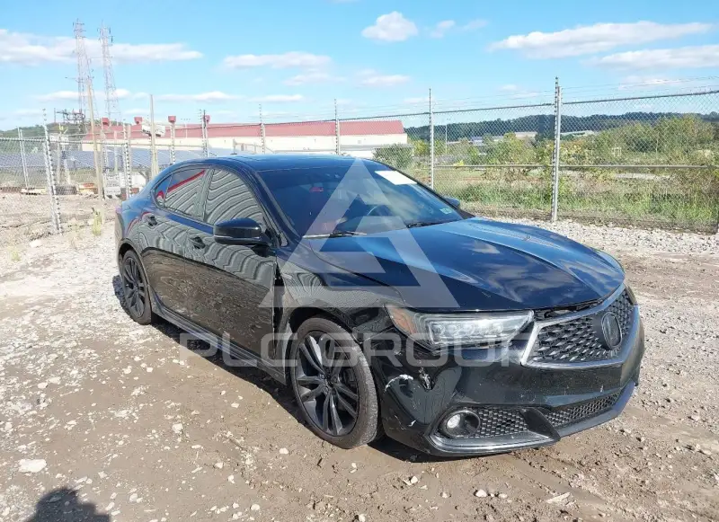 2019 Acura TLX фото