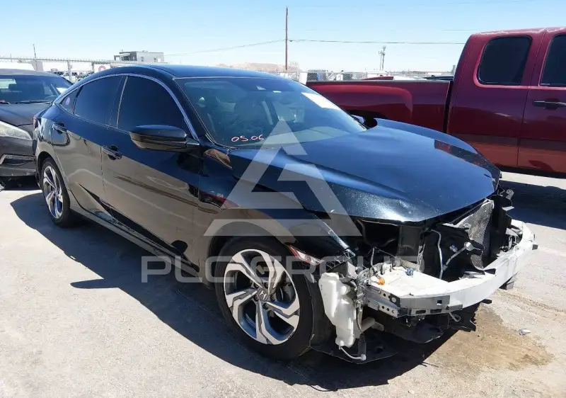 2019 Honda CIVIC фото