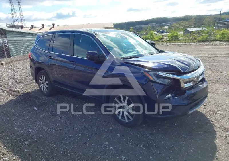 2019 Honda PILOT фото
