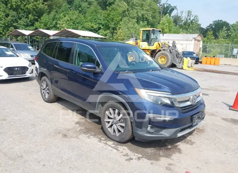 2019 Honda PILOT фото