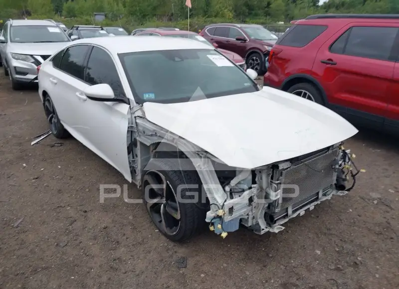 2019 Honda Accord photo