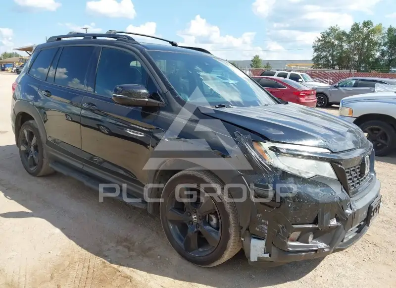 2019 Honda PASSPORT photo