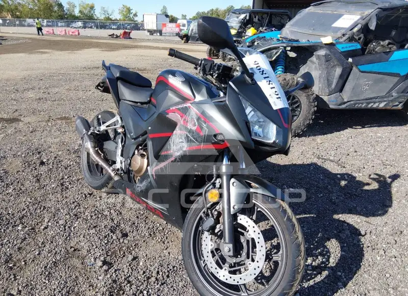 2019 Honda CBR300 фото