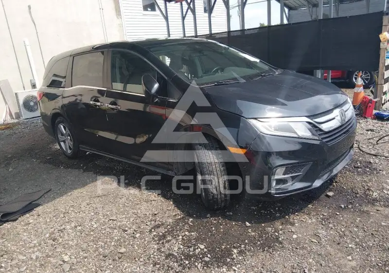 2019 Honda ODYSSEY photo