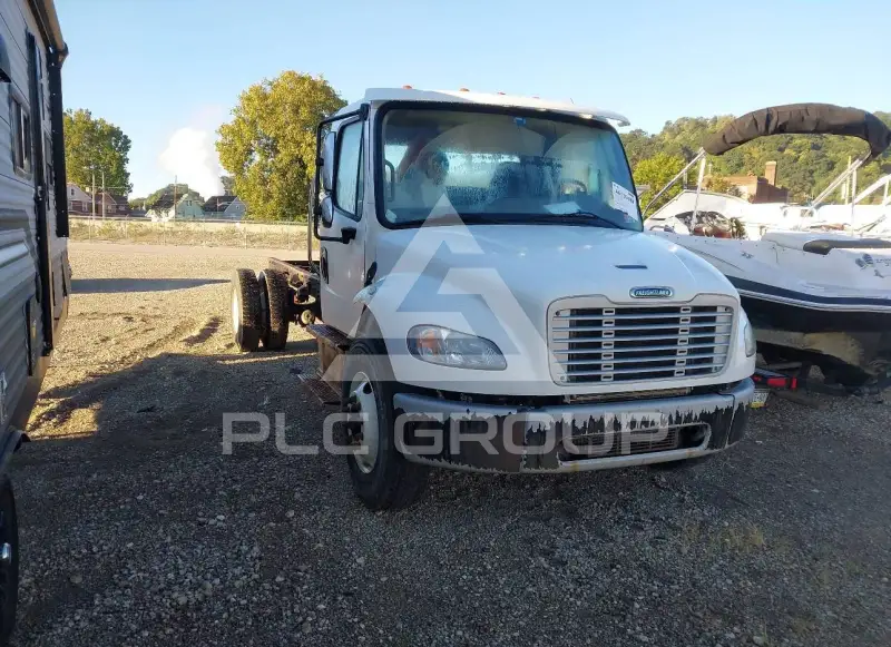 2019 Freightliner  photo