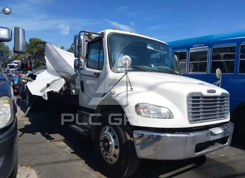 2019 Freightliner  photo