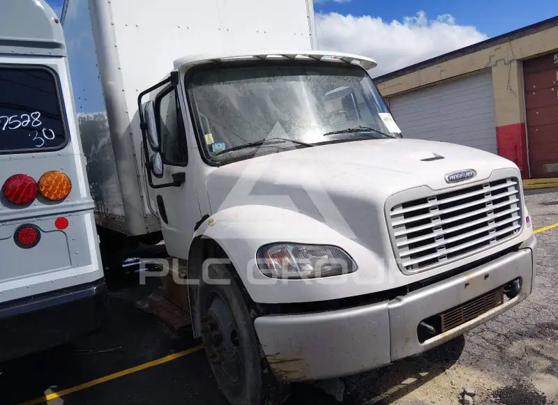2019 Freightliner  photo