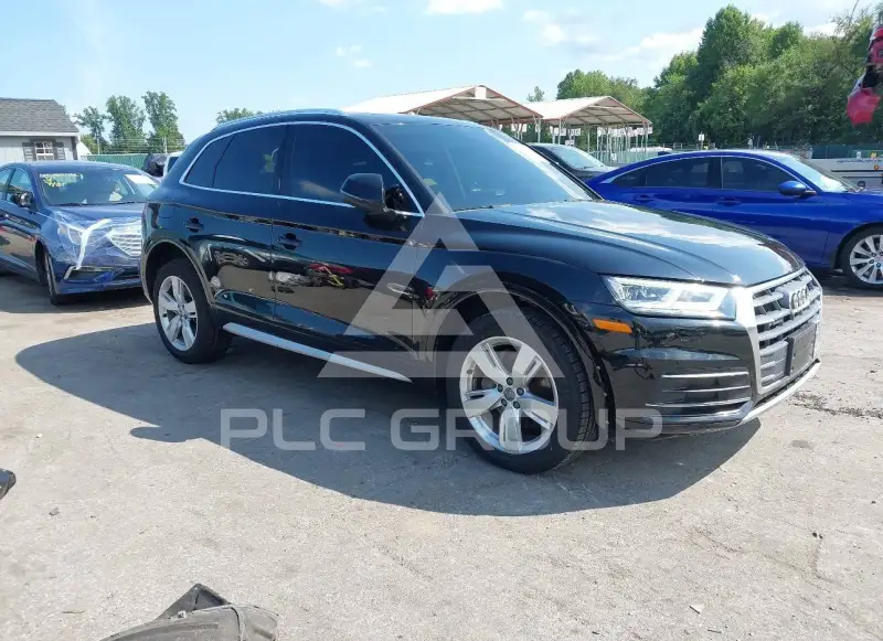 2019 Audi Q5 фото